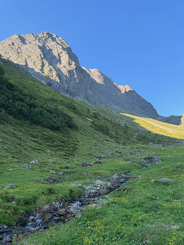 alpinplaner